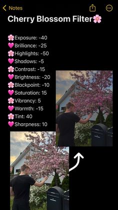 the cherry blossom filter has been added to make it look like someone is taking pictures