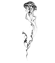 a black and white drawing of a jellyfish