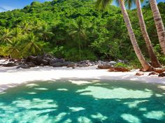 Discover Thailand's Beauty: Koh Tao island paradise Thailand Landscape Photography, Thailand Landscape, Inspiring Landscapes, Island Paradise, Koh Tao, Awe Inspiring, Tao, Landscape Photography, Paradise