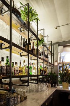 the bar has many bottles and glasses on it, along with plants in vases