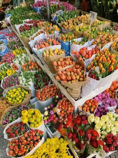 many different types of flowers on display at a flower market, including roses and tulips