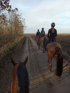 four people riding horses down a dirt road