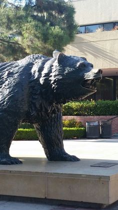 a statue of a bear in front of a building with trees and bushes around it