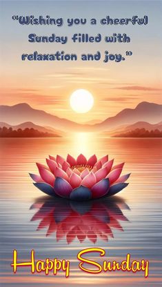 a greeting card with a lotus flower on the water and sunset in the background, reads wishing you a cheerful sunday