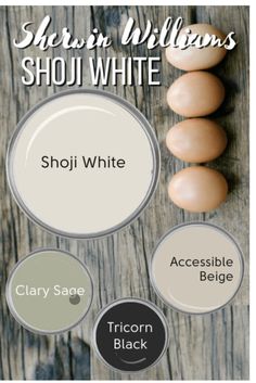 the different shades of paint that are used to create an egg shell and eggshell