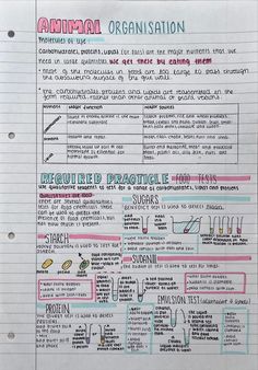 an animal's life cycle is shown in this handout