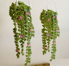 there are two green plants hanging on the wall together, one is pink flowers and the other is green