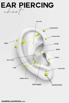 an ear piercing diagram with all the parts labeled