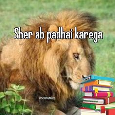 a lion sitting next to a pile of books with the caption sher ab padha karega