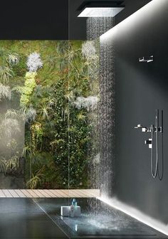 an image of a bathroom with plants on the wall and in the bathtub area