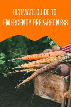 the ultimate guide to emergency preparedness with carrots and radishes in a crate