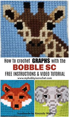 two pictures with the text how to crochet graphs with the bobble sc