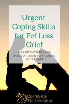 Loss Of Pet Cat, How To Cope With Loss Of Dog, Childhood Pet Loss, How To Deal With Pet Loss, Coping With Pet Loss Cats, Science Degree, Rainbow Dog, Terminal Illness