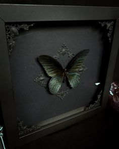 a green butterfly is in a black frame