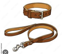 a brown leather dog leash with a clipping on the side and a white background