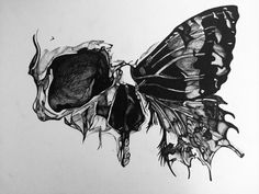 a black and white drawing of a butterfly on a piece of paper with the wings open