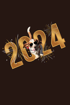 a dog wearing sunglasses and celebrating the new year