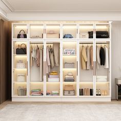 an organized closet with clothes and handbags on the shelves, along with other items