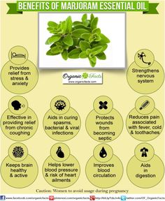 Health Benefits of Marjoram Essential Oil | Organic Facts Coconut Health Benefits, Info Graphic, Benefits Of Coconut Oil, Young Living Oils, Ayurvedic Medicine