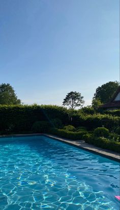 an empty swimming pool in the middle of a lush green yard with trees and bushes