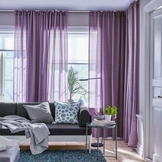 a living room with purple drapes and curtains on the windowsill, blue rugs and a gray couch