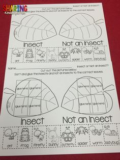 an insect themed worksheet with the words insect and not an insect on it