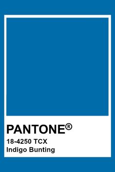 Tcx Pantone, Classic Blue Pantone, Pantone Colours, Pantone Swatches, Pantone 2020