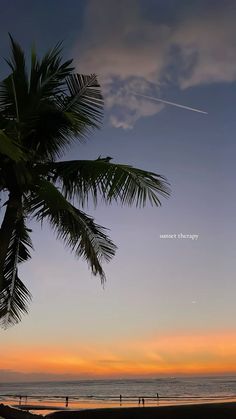 a palm tree on the beach at sunset with people walking in the water and an airplane flying overhead