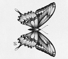 a black and white drawing of two butterflies