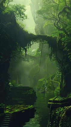 a stream running through a lush green forest filled with lots of trees and mossy plants