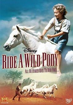 the poster for ride a wild pony shows a young boy riding a white horse with other horses