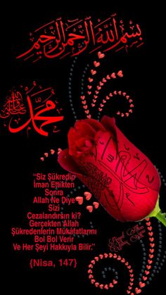 a red rose on a black background with the names of different languages in arabic and english