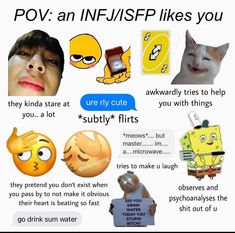 Isfp Relationships, Infj Type, Infj Personality Type, Infj T, Infj Personality