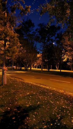 a woman standing on the side of a road at night with trees and grass around her