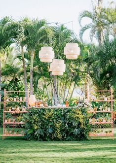 a lush green field with lots of plants and hanging lanterns on it's sides