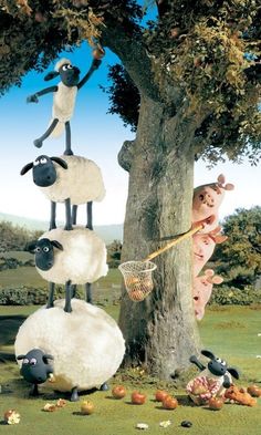 the sheep are hanging from the tree in the yard