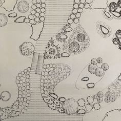 a drawing of a garden with lots of trees and plants on it's sides