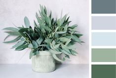 a potted plant sitting on top of a table next to a color swatch