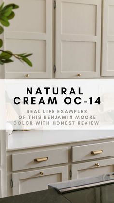 My Candid Review of Natural Cream OC-14 by Benjamin Moore Cream With White Trim, Revere Pewter Vs Natural Cream, Rocky Beach Benjamin Moore, Natural Cream Benjamin Moore Color Palette, Benjamin Moore Cream Cabinet Colors, Benjamin Moore Cool Neutrals, Unmarked Trail Behr Paint, Benjamin Moore Cabinets Colors, Mcgee And Co Cabinet Colors