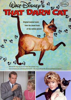 an old movie poster with a cat on it's back and the caption that says, what disney's that darn cat