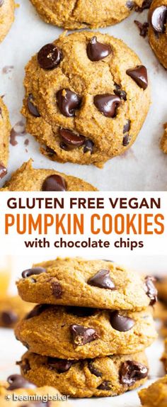 gluten - free vegan pumpkin cookies with chocolate chips are the perfect treat for fall