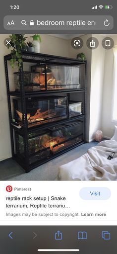 a bed room with a bunch of shelves filled with food