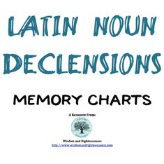 the front cover of latin nounn decensions memory chart with blue ink