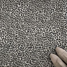 a person's hand on the ground next to a wall covered in black and white animal print