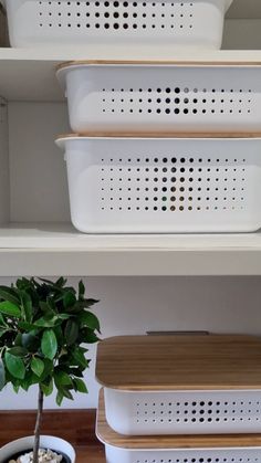 white plastic containers are stacked on top of each other next to a potted plant