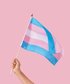 a hand holding a pink and blue striped flag on a stick against a pink background