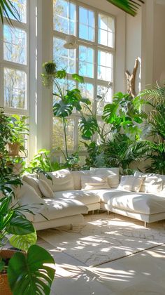 a living room filled with lots of plants next to two large windows on the wall