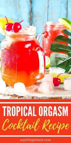 Tropical Orgasm Cocktail | Tropical Cocktails | Tropical Orgasm Cocktail Recipe | Tropical Recipes | Rum Cocktails #TropicalOrgasmCocktails #TropicalCocktails #RumCocktails #CocktailRecipes #TropicalDrink Best Tropical Cocktails, Tropical Storm Cocktail, Crush Drink Recipes, Tropical Red Bull Cocktails, Tight Snatch Cocktail, Tropical Drinks Recipes Alcohol, Tropical Shots, Hawaii Drinks, Sea Breeze Cocktail