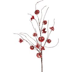 a branch with red balls on it and some branches in the foreground, against a white background