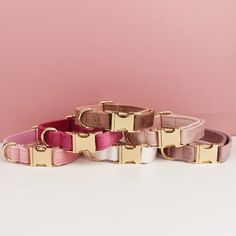 three pink and white dog collars with gold buckles on them against a pink background